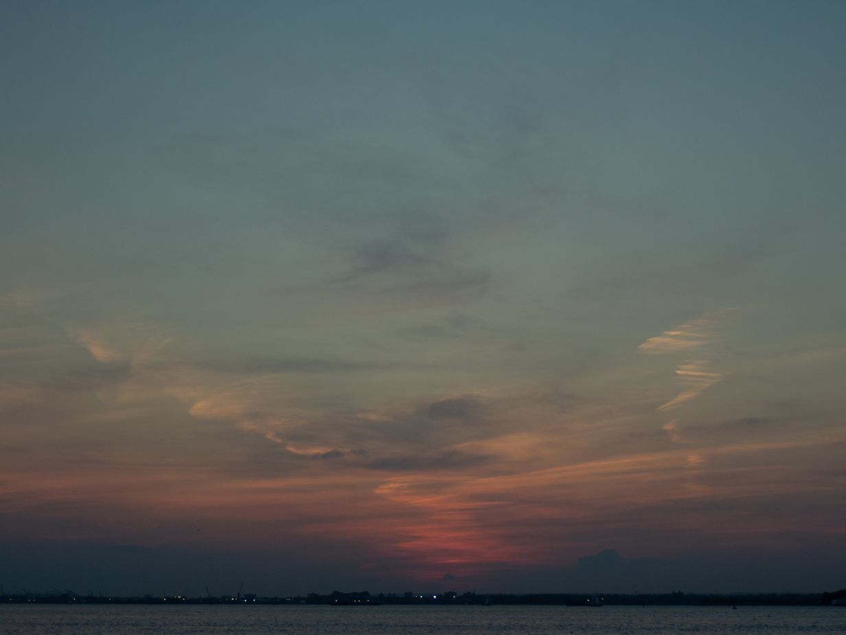 _8140435.jpg